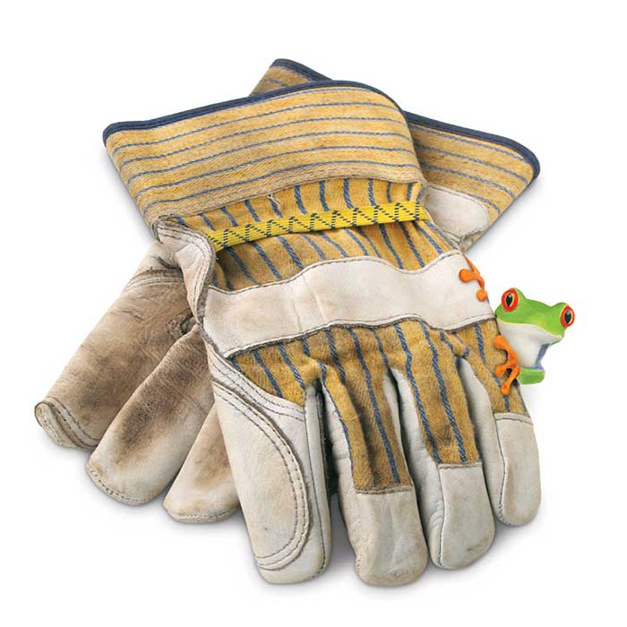 Frog Gloves