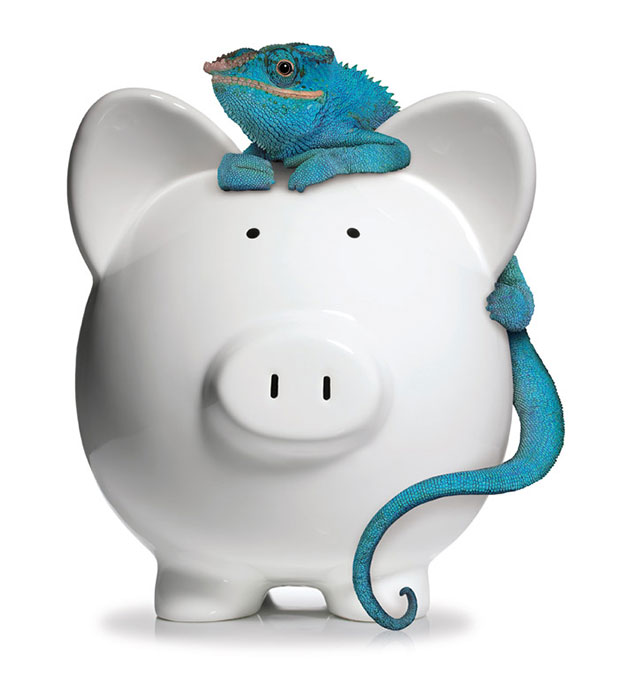 Piggy Bank with Reptile Design in Head